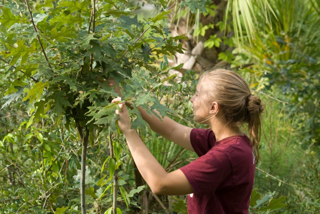 Jessica searching PABU nest