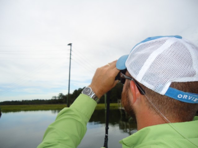 Osprey Citizen Science Survey